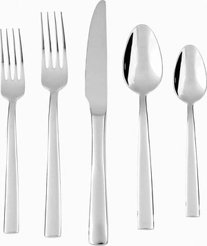 Fortessa - 5 PC Catana Stainless Steel Place Setting - 5PPS-900-05